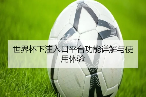 世界杯下注入口平台功能详解与使用体验