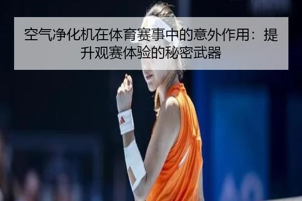 空气净化机在体育赛事中的意外作用：提升观赛体验的秘密武器
