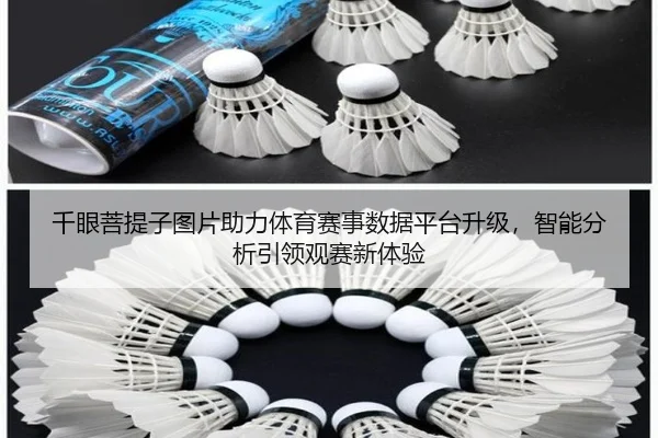 千眼菩提子图片助力体育赛事数据平台升级，智能分析引领观赛新体验
