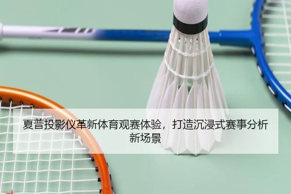 夏普投影仪革新体育观赛体验，打造沉浸式赛事分析新场景